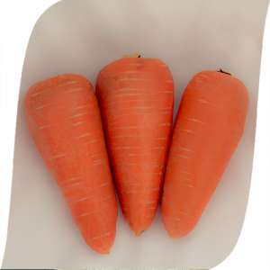 SV 3118 DH F1 - морковь, (1,6-1,8), Seminis фото, цена